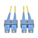 Duplex Singlemode 8.3 125 Fiber Patch Cable SC SC 2M 6 ft