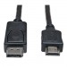 DisplayPort HD Cable Adapter 10 Feet